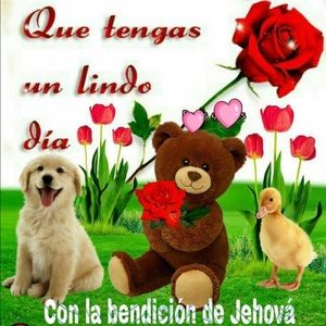 Meet your Posher, Silvia